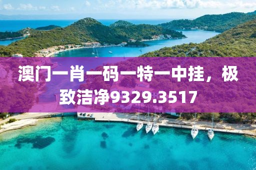 澳门一肖一码一特一中挂，极致洁净9329.3517