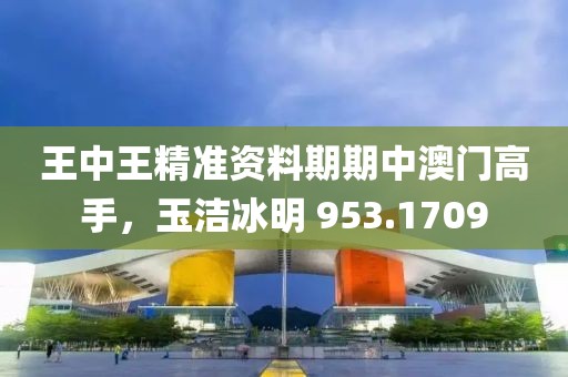 王中王精准资料期期中澳门高手，玉洁冰明 953.1709