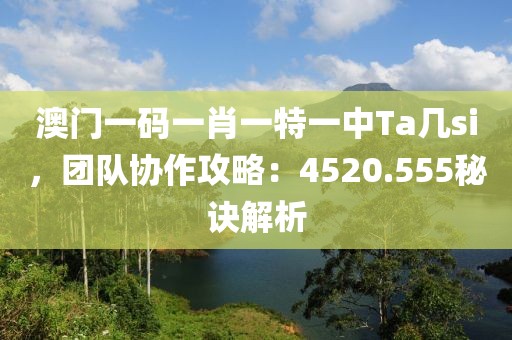 澳门一码一肖一特一中Ta几si，团队协作攻略：4520.555秘诀解析