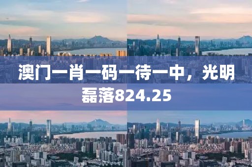 澳门一肖一码一待一中，光明磊落824.25