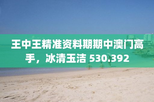 王中王精准资料期期中澳门高手，冰清玉洁 530.392