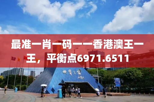 最准一肖一码一一香港澳王一王，平衡点6971.6511