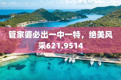 管家婆必出一中一特，绝美风采621.9514