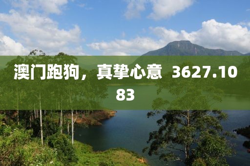 澳门跑狗，真挚心意  3627.1083