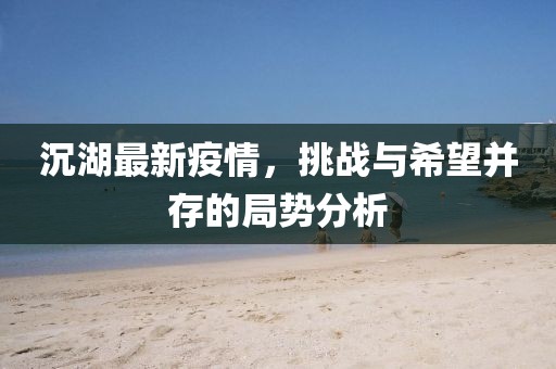 沉湖最新疫情，挑战与希望并存的局势分析