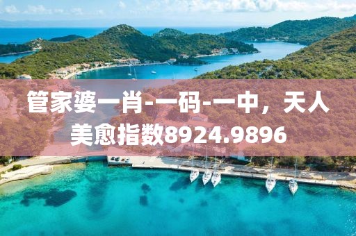 管家婆一肖-一码-一中，天人美愈指数8924.9896