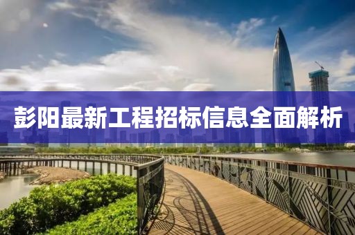 彭阳最新工程招标信息全面解析
