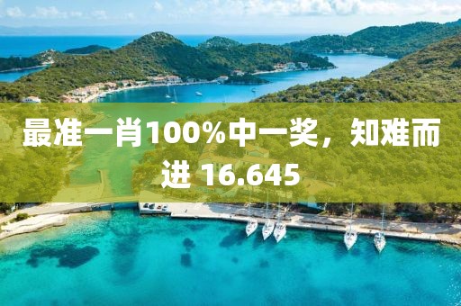 最准一肖100%中一奖，知难而进 16.645