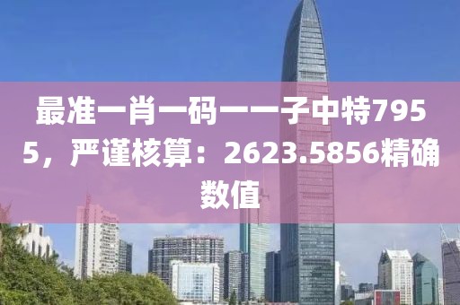 最准一肖一码一一子中特7955，严谨核算：2623.5856精确数值
