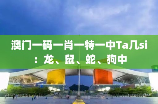 澳门一码一肖一特一中Ta几si：龙、鼠、蛇、狗中