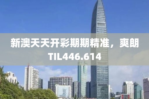 新澳天天开彩期期精准，爽朗TIL446.614