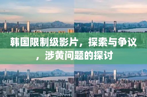 韩国限制级影片，探索与争议，涉黄问题的探讨