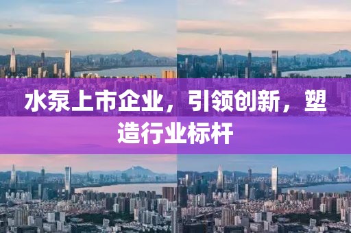 水泵上市企业，引领创新，塑造行业标杆