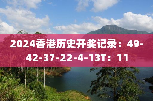2024香港历史开奖记录：49-42-37-22-4-13T：11