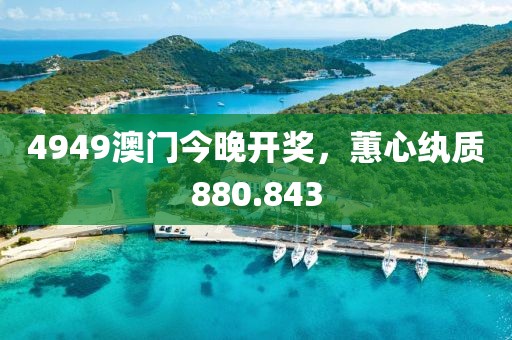 4949澳门今晚开奖，蕙心纨质880.843