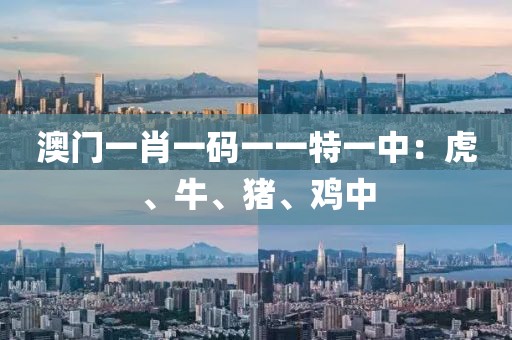 澳门一肖一码一一特一中：虎、牛、猪、鸡中
