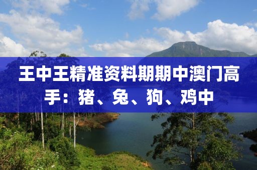 王中王精准资料期期中澳门高手：猪、兔、狗、鸡中