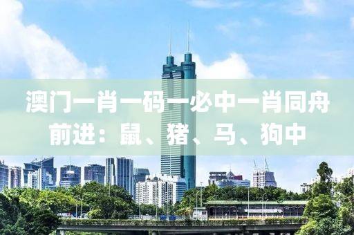 澳门一肖一码一必中一肖同舟前进：鼠、猪、马、狗中