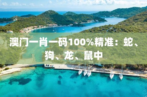澳门一肖一码100%精准：蛇、狗、龙、鼠中