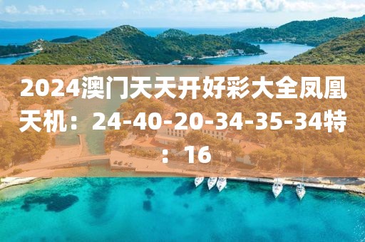 2024澳门天天开好彩大全凤凰天机：24-40-20-34-35-34特：16
