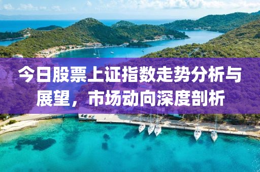 今日股票上证指数走势分析与展望，市场动向深度剖析