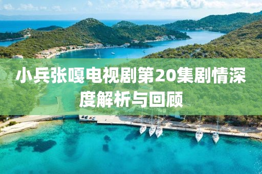 小兵张嘎电视剧第20集剧情深度解析与回顾