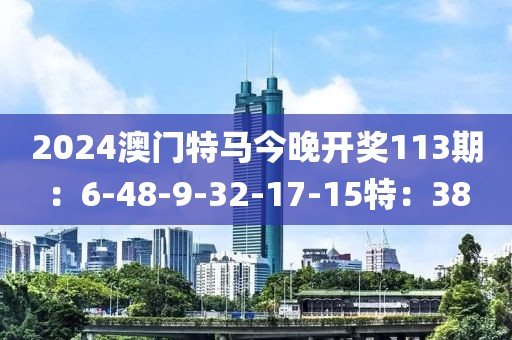 2024澳门特马今晚开奖113期：6-48-9-32-17-15特：38