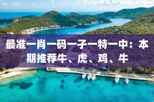 最准一肖一码一孑一特一中：本期推荐牛、虎、鸡、牛