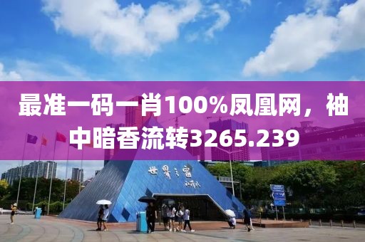 最准一码一肖100%凤凰网，袖中暗香流转3265.239