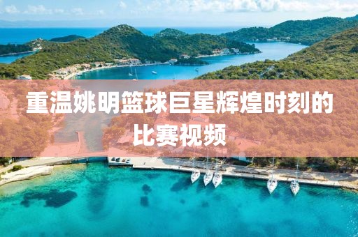 重温姚明篮球巨星辉煌时刻的比赛视频