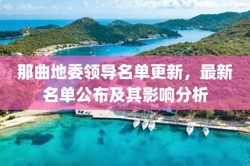 那曲地委领导名单更新，最新名单公布及其影响分析