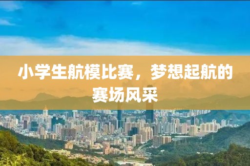 小学生航模比赛，梦想起航的赛场风采