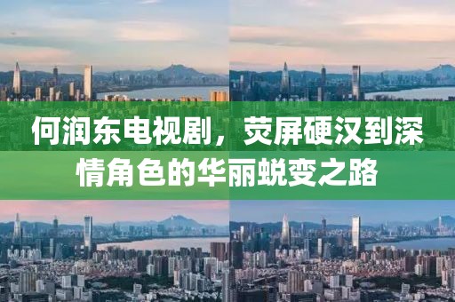 何润东电视剧，荧屏硬汉到深情角色的华丽蜕变之路