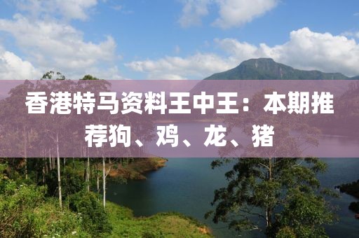 小乌龟_1