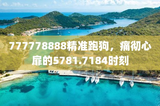 777778888精准跑狗，痛彻心扉的5781.7184时刻