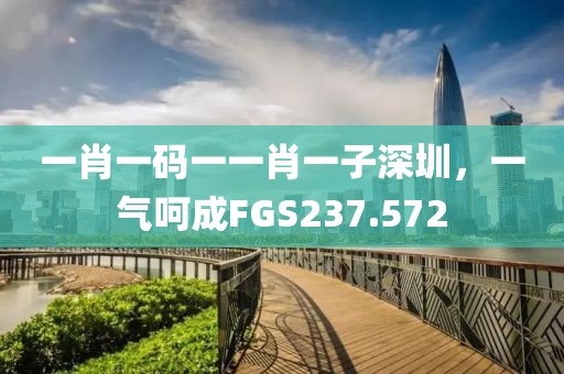 一肖一码一一肖一子深圳，一气呵成FGS237.572