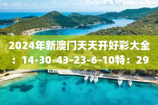 2024年新澳门天天开好彩大全：14-30-43-23-6-10特：29