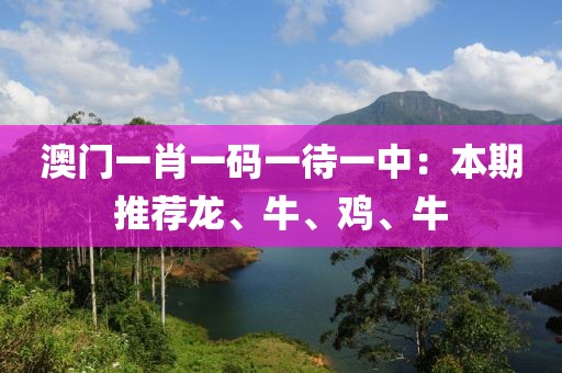 澳门一肖一码一待一中：本期推荐龙、牛、鸡、牛