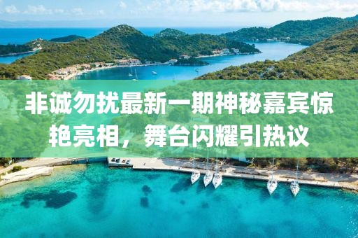 非诚勿扰最新一期神秘嘉宾惊艳亮相，舞台闪耀引热议