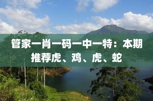 管家一肖一码一中一特：本期推荐虎、鸡、虎、蛇