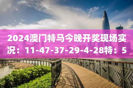 2024澳门特马今晚开奖现场实况：11-47-37-29-4-28特：5