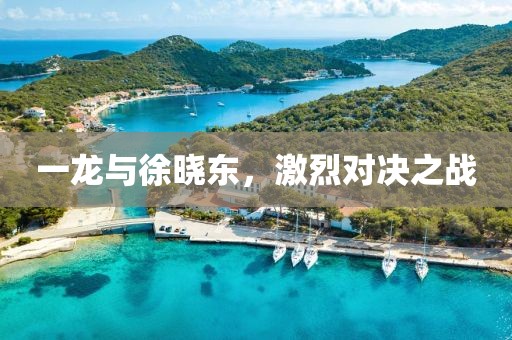 一龙与徐晓东，激烈对决之战