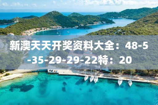 新澳天天开奖资料大全：48-5-35-29-29-22特：20