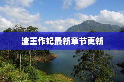 渣王作妃最新章节更新