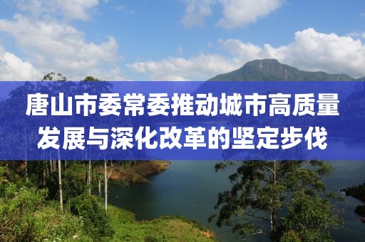 唐山市委常委推动城市高质量发展与深化改革的坚定步伐