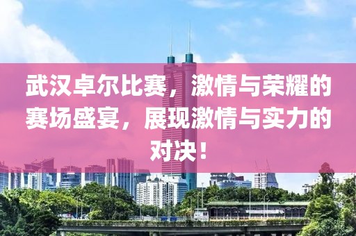 武汉卓尔比赛，激情与荣耀的赛场盛宴，展现激情与实力的对决！