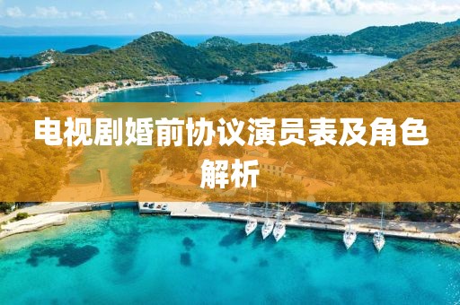 电视剧婚前协议演员表及角色解析