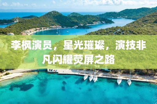 李枫演员，星光璀璨，演技非凡闪耀荧屏之路