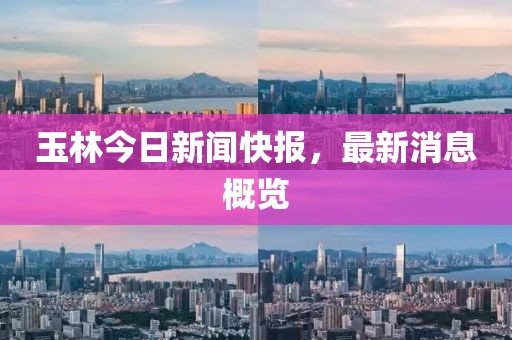 玉林今日新闻快报，最新消息概览