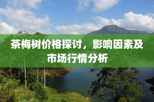 茶梅树价格探讨，影响因素及市场行情分析